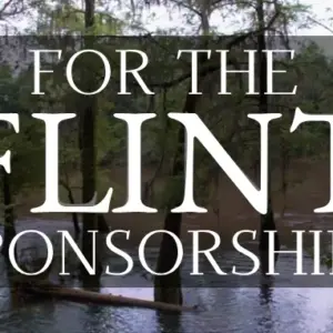 For the Flint Gala Sponsorships